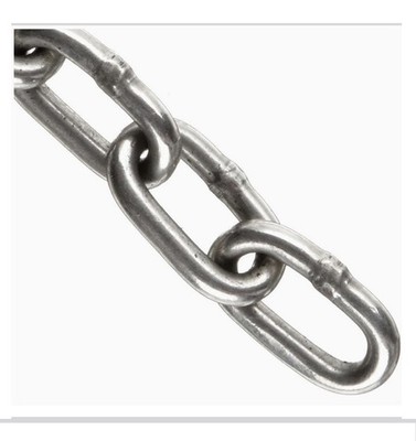 3/16 x 10 Ft,T316L Stainless Steel Chain, 930lb WLL Sold by The 10  Section