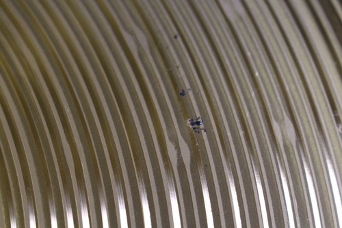 Sabian B8 Thin Crash Cymbal 16in/41cm Bright Fast Response Short Sustain - Picture 4 of 6