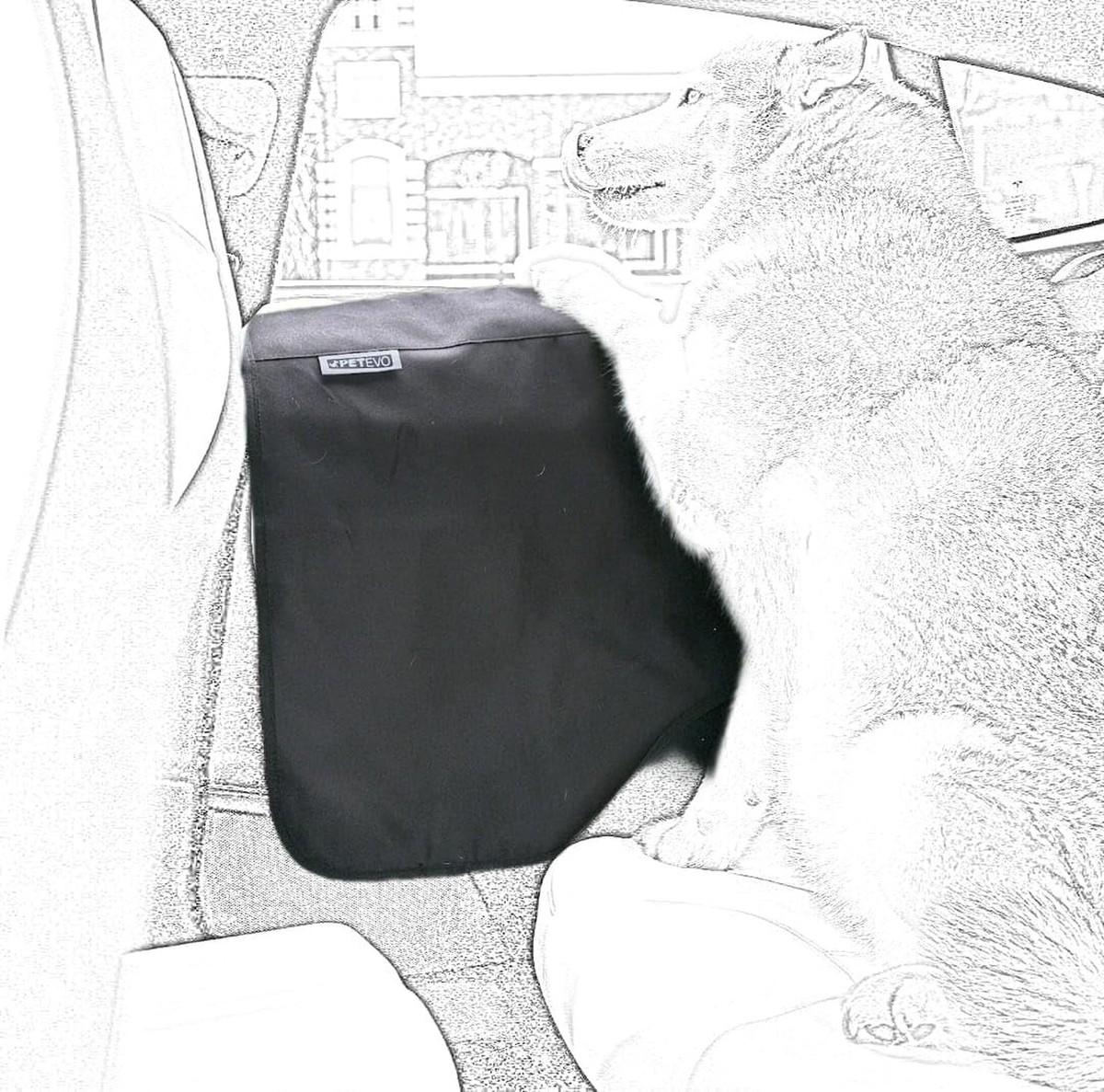 2X Extra Durable Premium Interior Car Door Protector from Dog