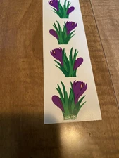 Mrs. Grossman's CROCUS Purple Flowers