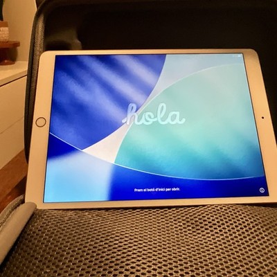 Apple iPad 6th Gen (2018) A1954 Wi-Fi 32GB Gold 9.7