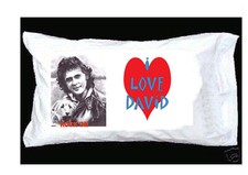 DAVID ESSEX 'I LOVE DAVID' pillowcase with red heart ROCK ON