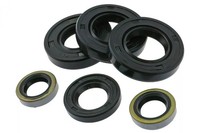 Wellendichtringe Kompletter Motor 6 StüCk Derbi EBE / EBS
