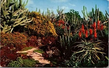 Moirs Pa U A Laka Gardens Koloa Kauai Hawaii Gardens Flowers Chrome WOB Postcard