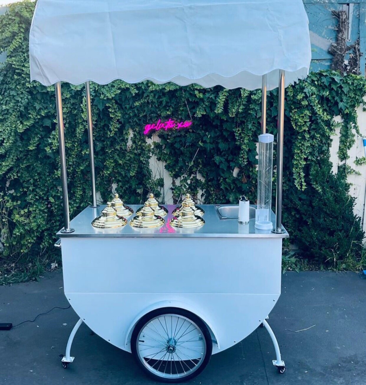 ice creamgelato cart eBay