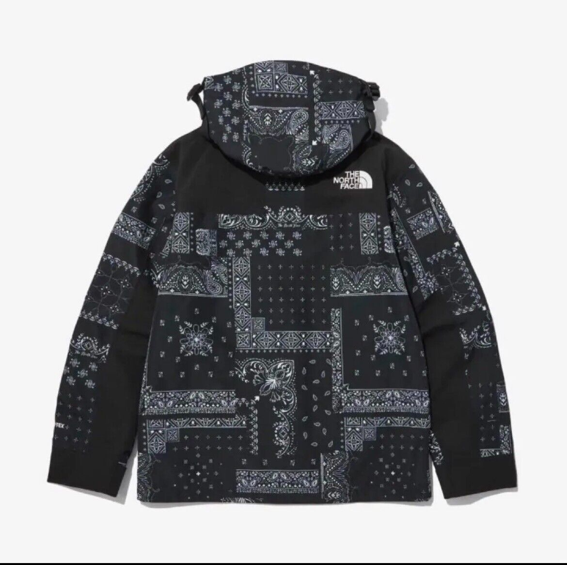 North Face White Label Paisley Gore Tex Mountain Jacket free North Face White Label Paisley Gore Tex Mountain Jacket free