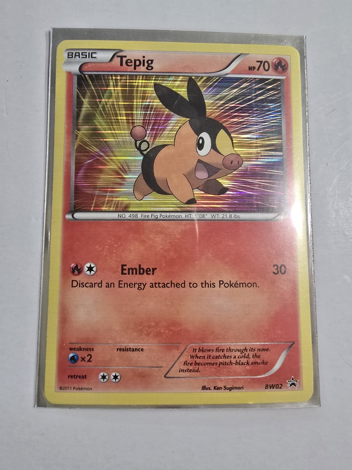 Pokemon TCG Tepig BW02 Holo Rare Black Star Promo NM