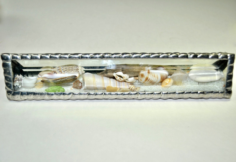 Beach By The Inch Glass Sand Scape Kaleidoscope Sea Shells Starfish Driftwood
