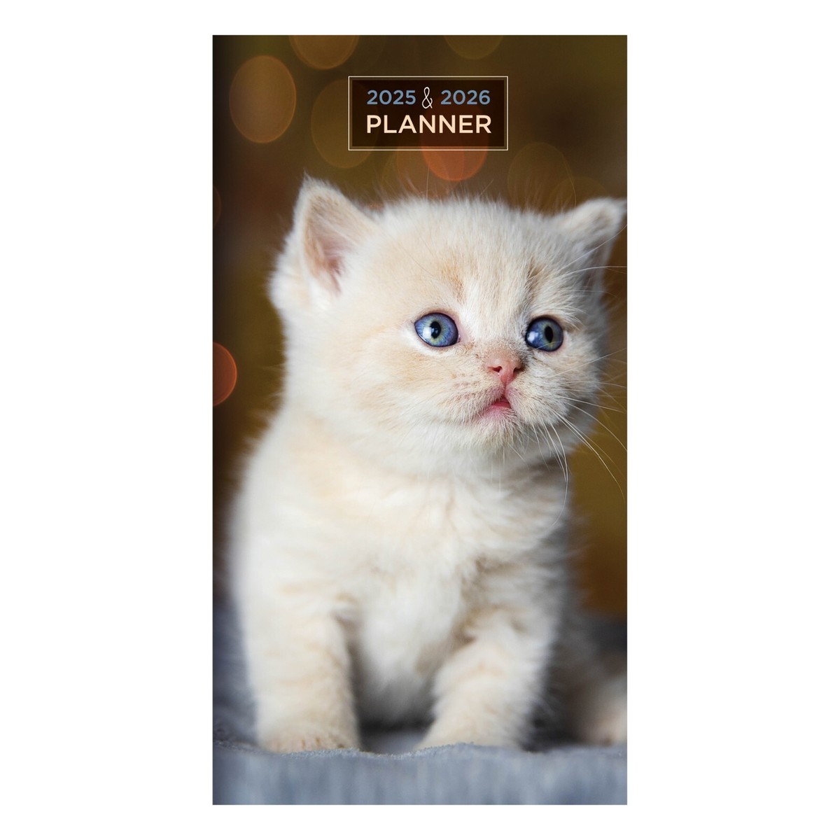 Fluffy Tour 2026 Image