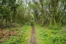 Photo 12x8 Path to Halwill Junction Beaworthy The path runs along the trac c2016