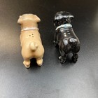 Picture 5 of 6