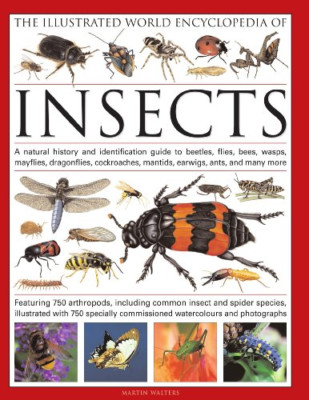 The Illustrated World Encyclopedia of Insects - HardBack NEW Martin Walters 2010