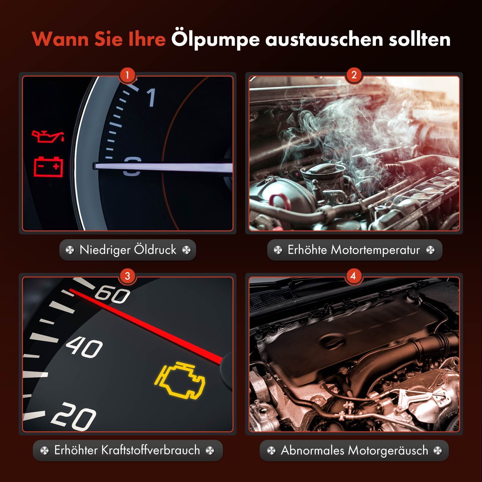 Bild 8 von 8
