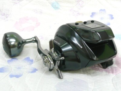 Daiwa 21 SEABORG 300J Right Electric Reel | eBay