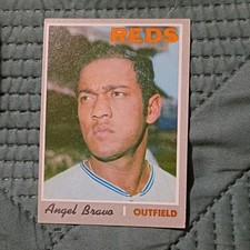 Topps 1970 Angel Bravo Cincinnati Reds Baseball Card #283 Base Set