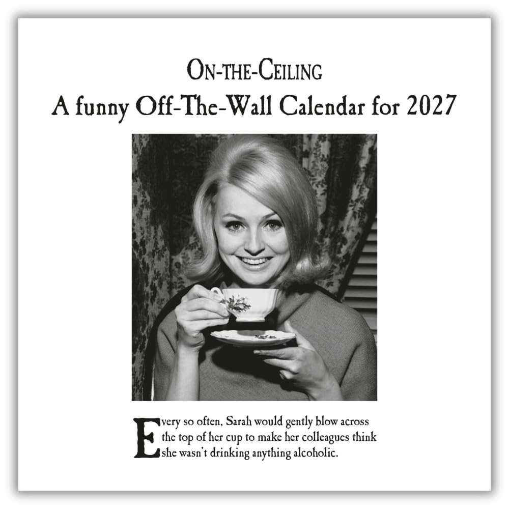 On the Ceiling 2027 Square Wall Calendar Official Licensed Humorous | 2026 - Image 2