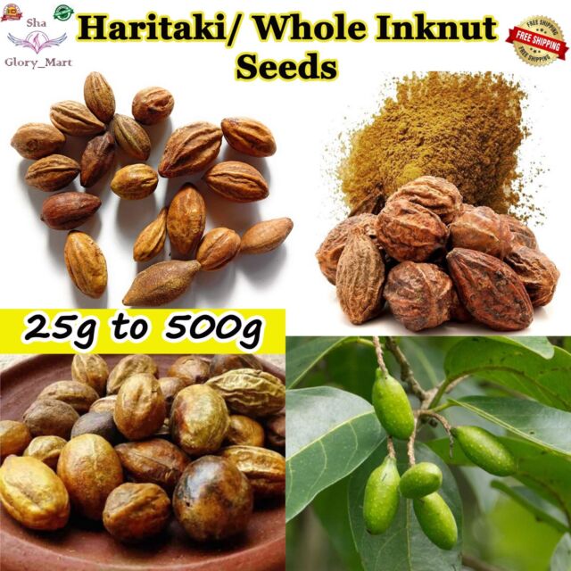 Whole Inknut Myrobalan Fruit Badi Harad Himej Pure HARITAKI Terminalia Chebula