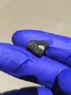Chelyabinsk Meteorites 1.495g  Fresh Crusted Individual COA Russia — photo 10