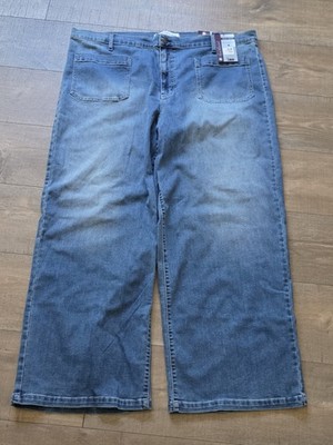 Gloria Vanderbilt Women's Swan Series Blue Jeans 22W Average (A4/1)