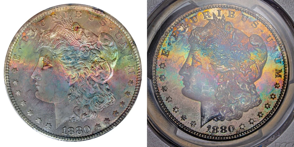 MS 64 Graded 1880 Year Morgan US Dollars (1878-1921) for sale | eBay