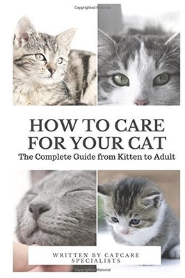 HOW TO CARE FOR YOUR CAT: THE COMPLETE GUIDE FROM KITTEN By Catcare Specialists