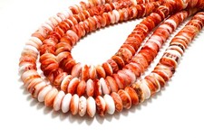 Genuine Red Spiny Oyster Rondelle Disc Polished 12mm Assorted Size Beads PG263C