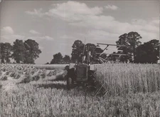 England WW2 1940s Medical students reaping wheat field Manor Farm Press Photo