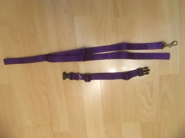 Pets at home collar and lead top