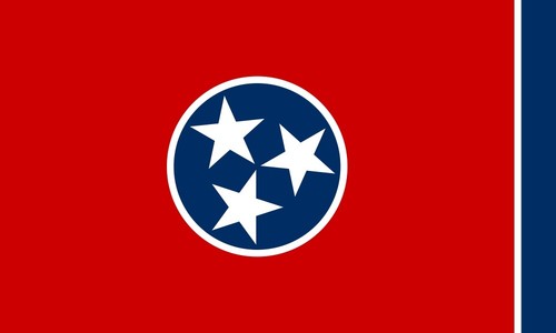 Tennessee Flag Cheatham Greene Hamilton Hawkins Knox Obion Shelby Union Warren - Picture 4 of 16