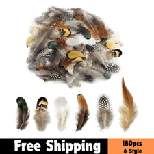 180pcs Natural Feathers for Crafts   6 Styles Mixed DIY Feathers for Dream Catch