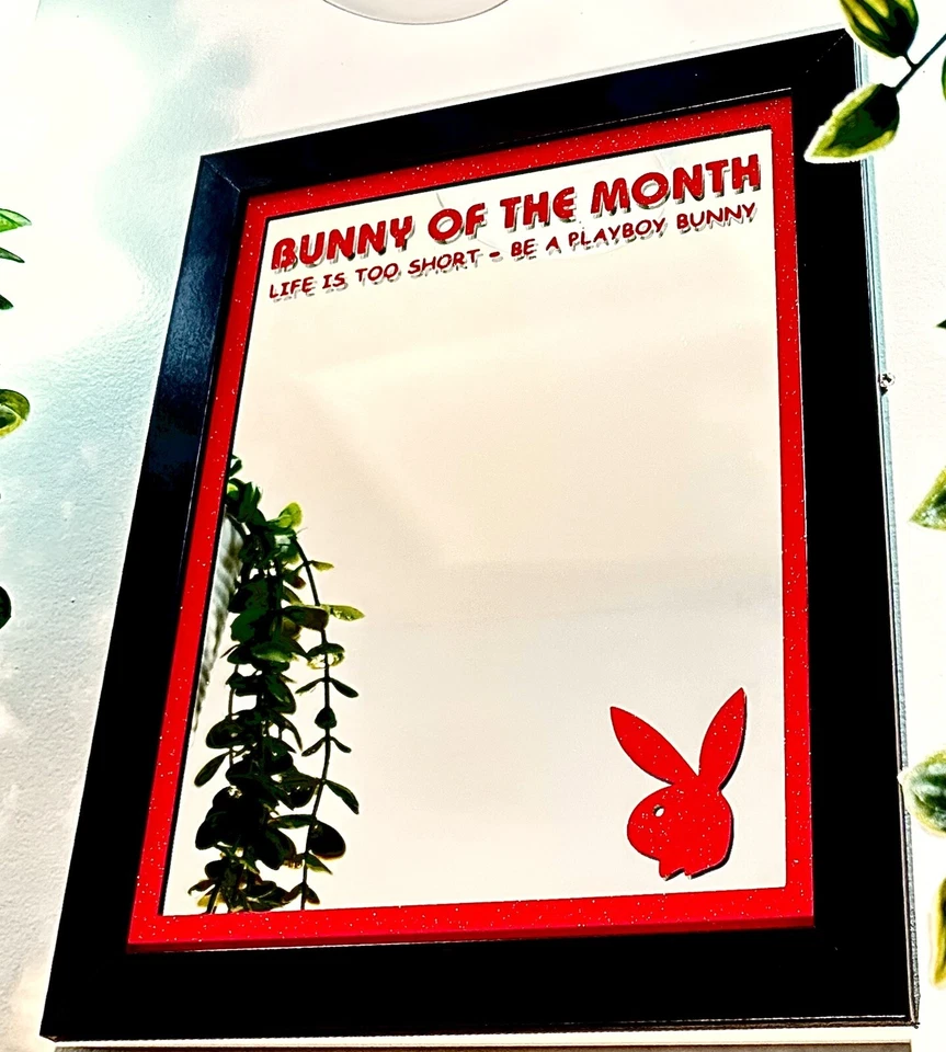 Playboy Mirror White Color, 10x12 Wood Framed Glass Mirror - Image 3 of 4