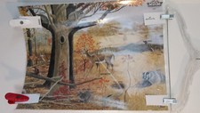 Animals POSTER laminated education art Kids for Conservation Double Sided trees