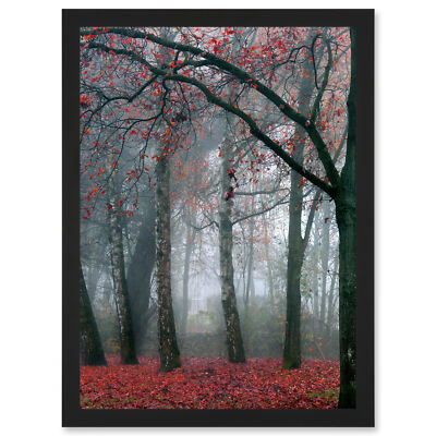 Nature Forest Tree Autumn Fall Beautiful Red A4 Framed Wall Art Print