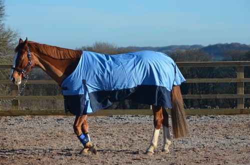 Sky 100g Lightweight 600d Waterproof Breathable Horse Pony Turnout Rug Ripstop - Picture 6 of 6