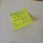 Foto 9 di 9