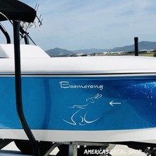 Lewis Boomerang Ski Boat Graphic Logo Decals Set Of 2 Oem New Oracle Vinyl
