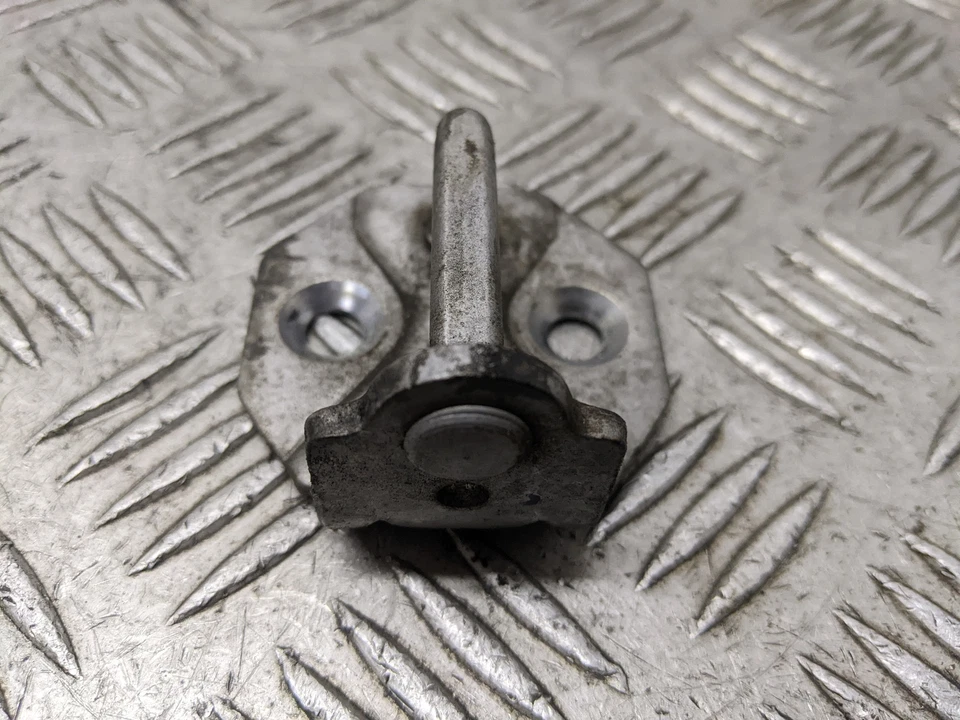 Placa de golpeador de puerta Ford Ecosport Zetec MK1 2015-2017  Foto 3 de 4