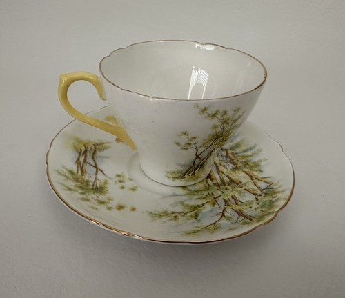 SHELLEY fine bone China DAFFODIL TIME Teacup & Saucer set XLNT - Picture 2 of 8