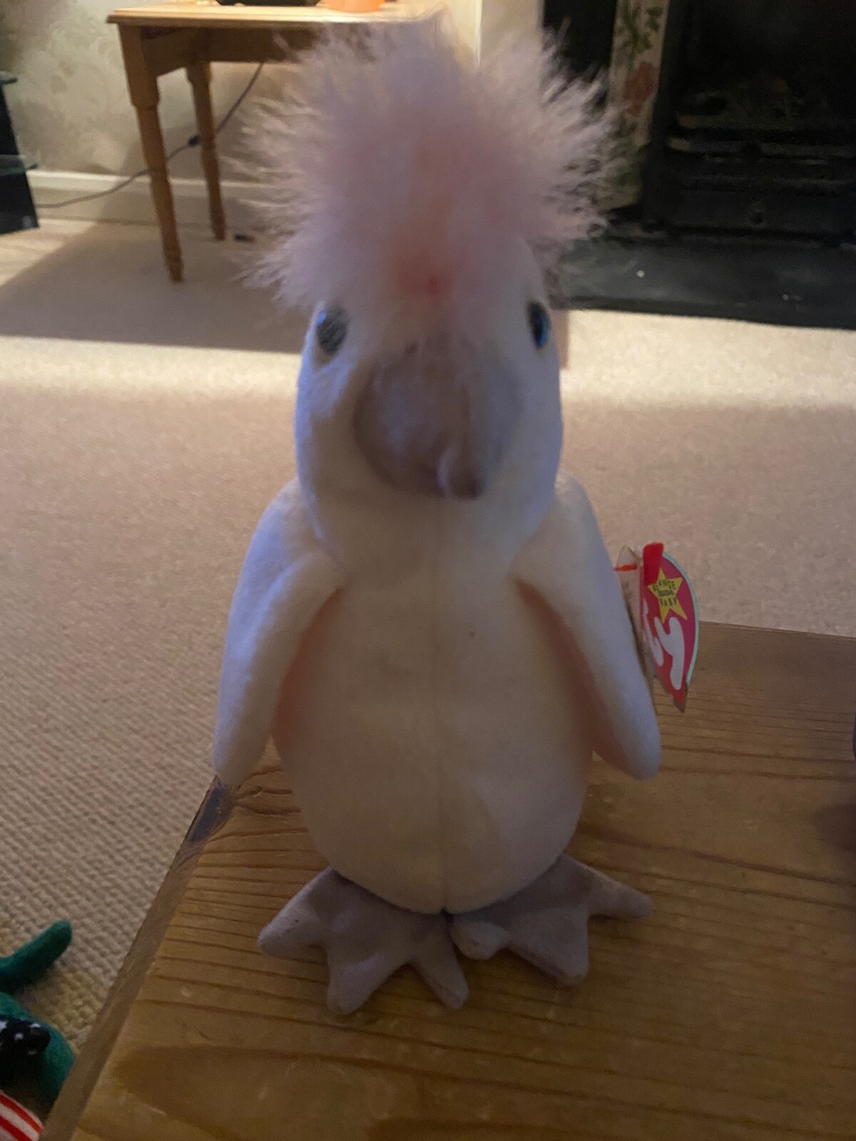 Baby Cockatoos for sale in UK 57 used Baby Cockatoos