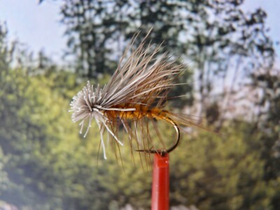 Trockenfliege '' Elk Caddis Orange ''  3er Set
