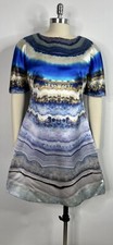 Vtg Alexander McQueen Resort 2010 Blue Sediment Print Silk Dress 44 L