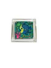 Vintage clear acrylic Bahamas souvenir refrigerator magnet