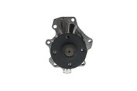 Aisin Wasserpumpe KüHlmittelpumpe FüR Toyota RAV 4 III 2.4 4WD