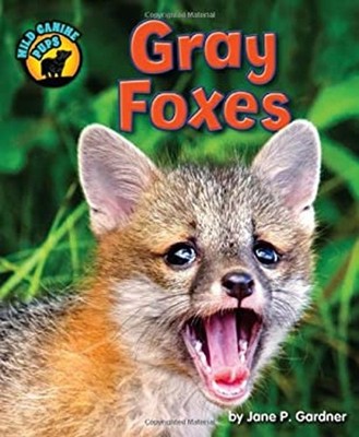 Gray Foxes Library Binding Jane P. Gardner