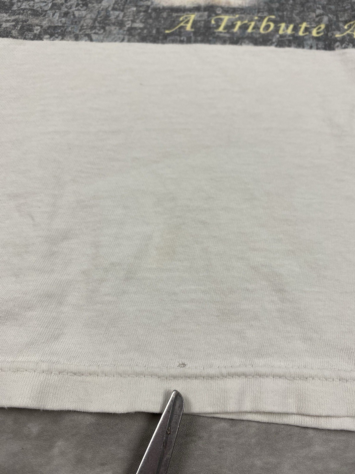 Picture 6 of 11