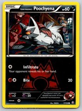 Team Magma's Poochyena 17/34 Common Double Crisis Pokemon LP on eBay