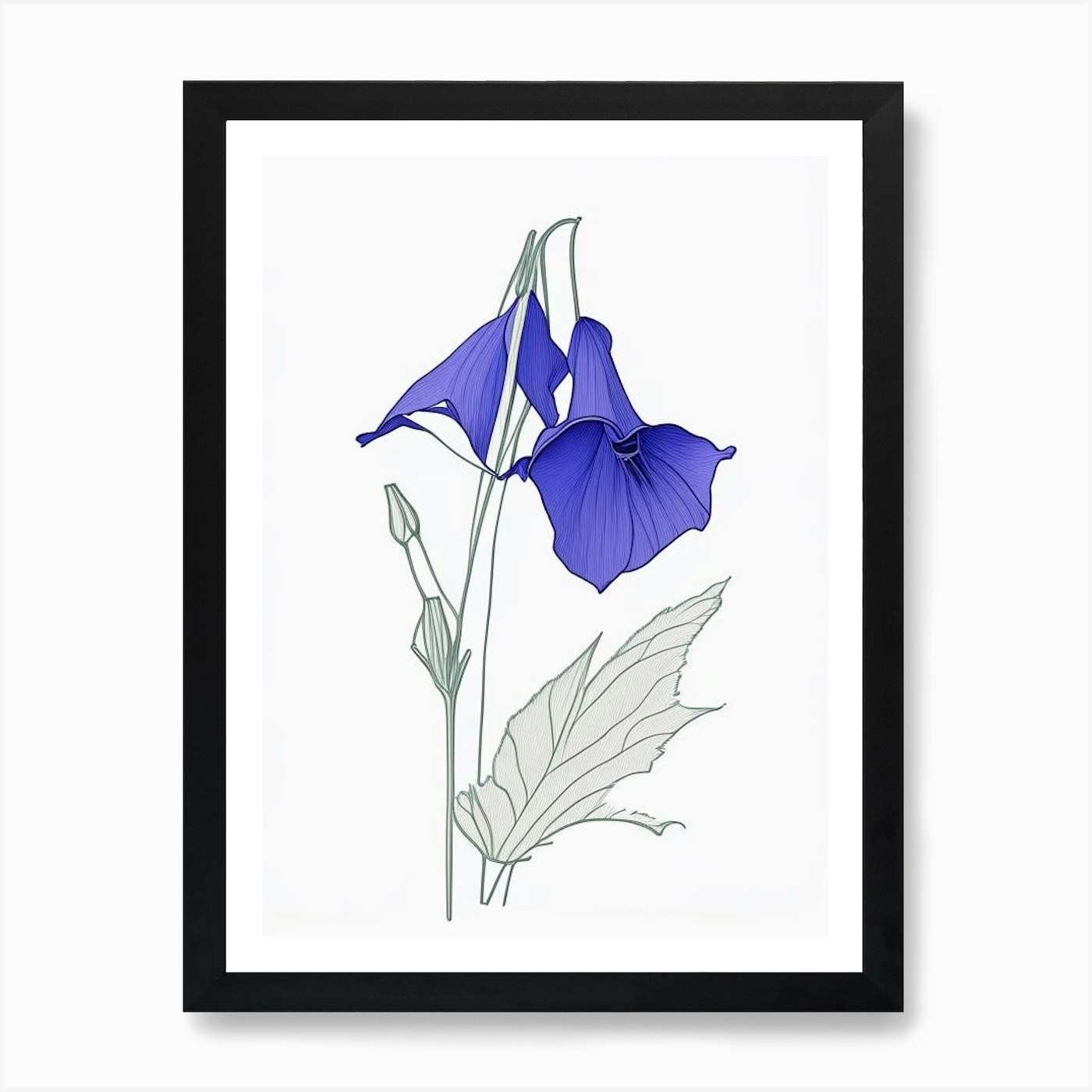 Canterbury Bell Floral Minimal Line Framed Wall Art Poster Canvas Print Picture