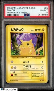 Pikachu No Rarity | eBay