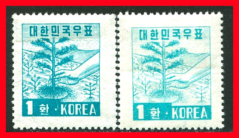 Korea Postage Stamp Scott 203A MNH on Horizontal and Vertical Laid Paper!! K531h