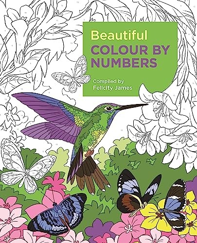 Beautiful Colour by Numbers (Arcturus Colour by Numbers Collection, 12) - Image 5